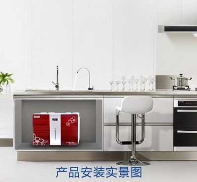 苹果八代新款RO机净水器 家用纯水机的价格与厂家解析